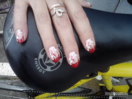 piros fehér virágos